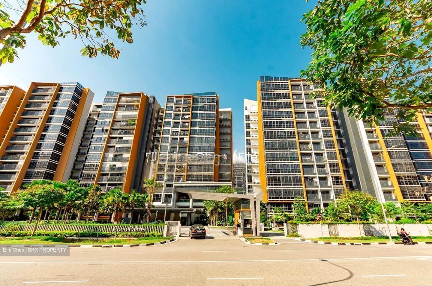 Coco Palms (D18), Condominium #423799971